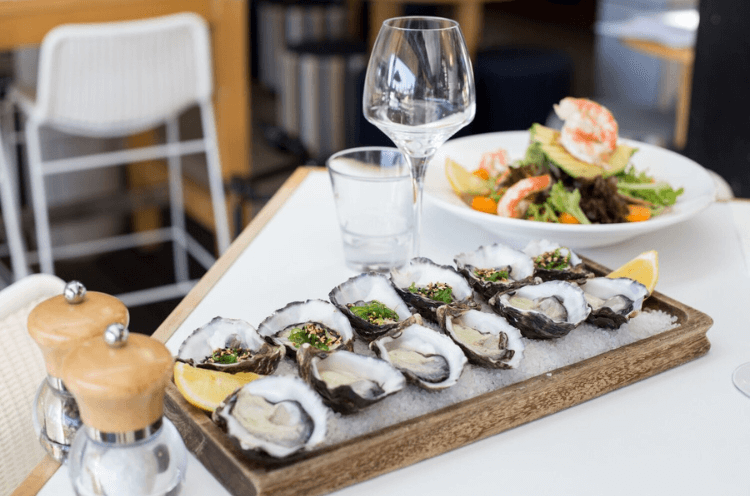fresh oysters on board